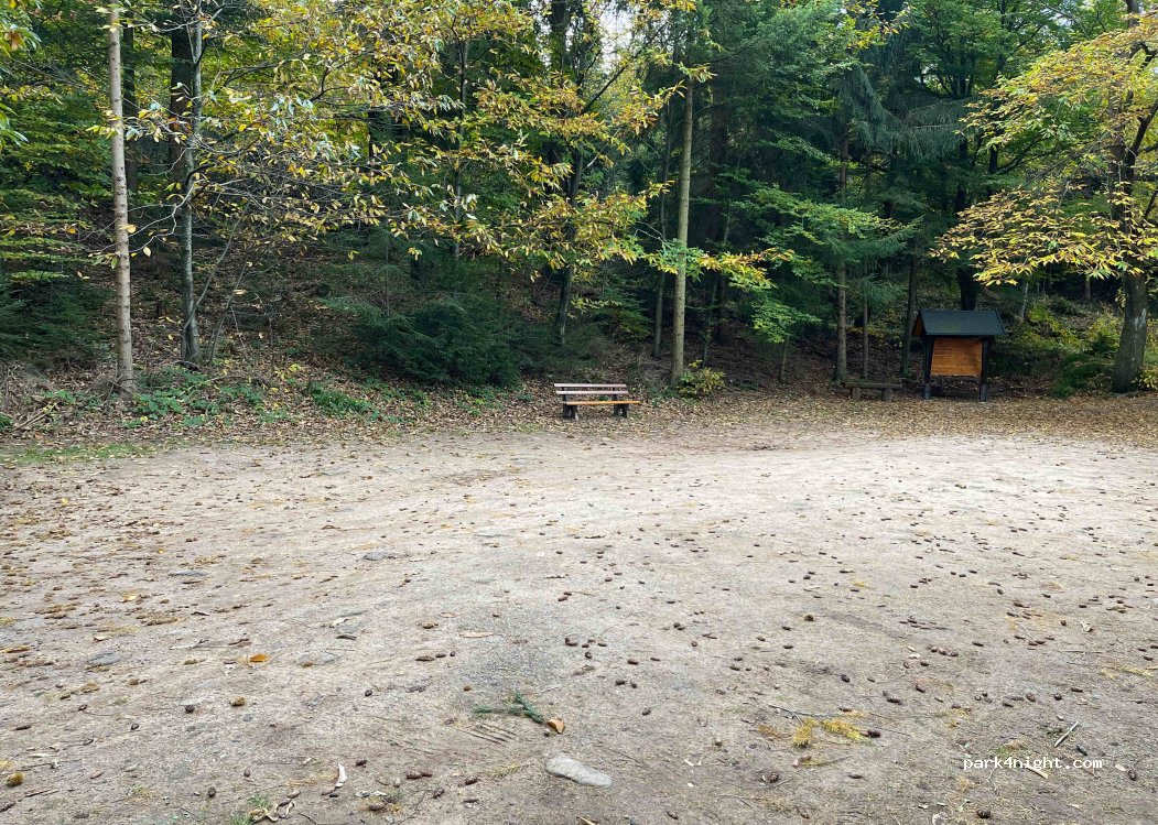 (77704) Oberkirch - Kalikutt — foto