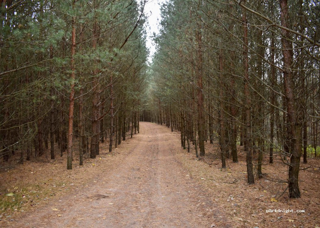 (38313) Kazokai - Kalno — foto 3