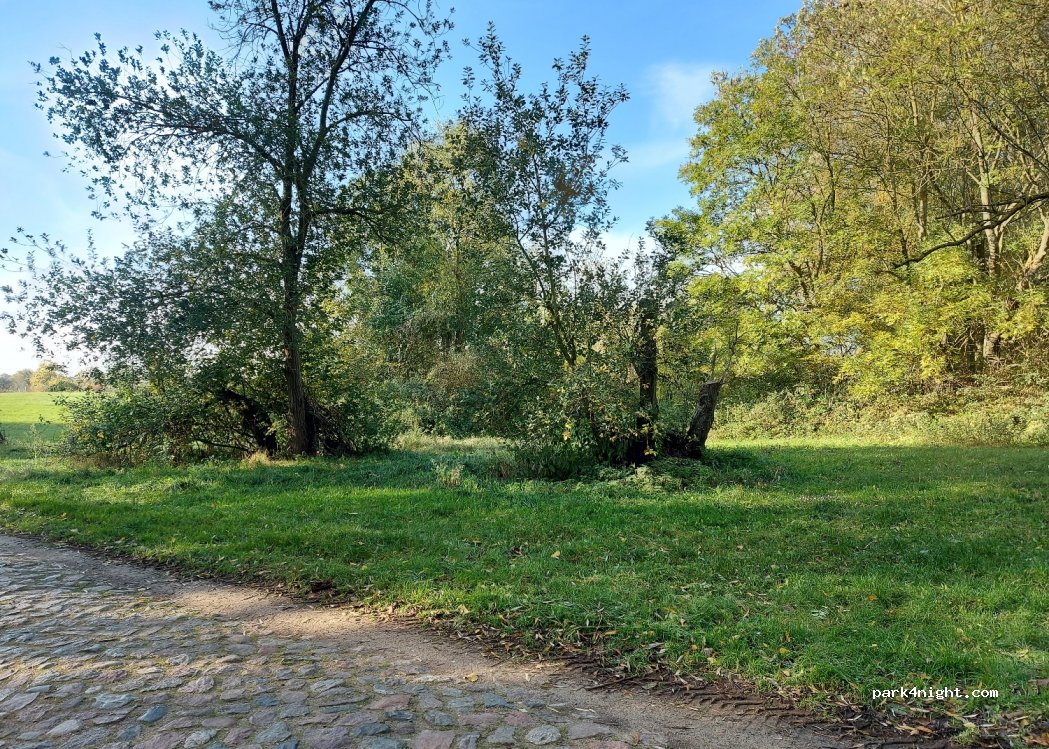 (17089) Breest - Schulstrabe — foto 3