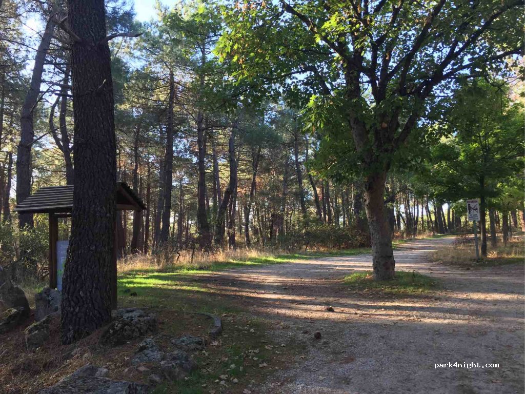 (28200) San Lorenzo de El Escorial - Camino del Hospital — foto 4