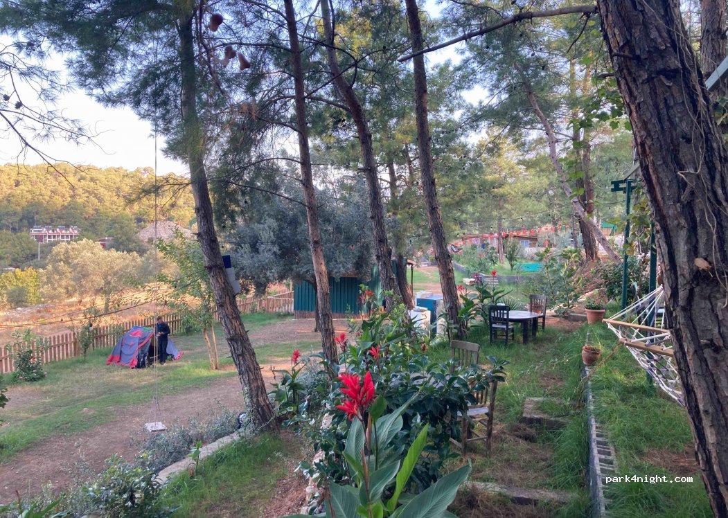 Aydede camping — foto