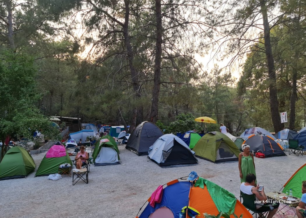 Aydede camping — foto 2