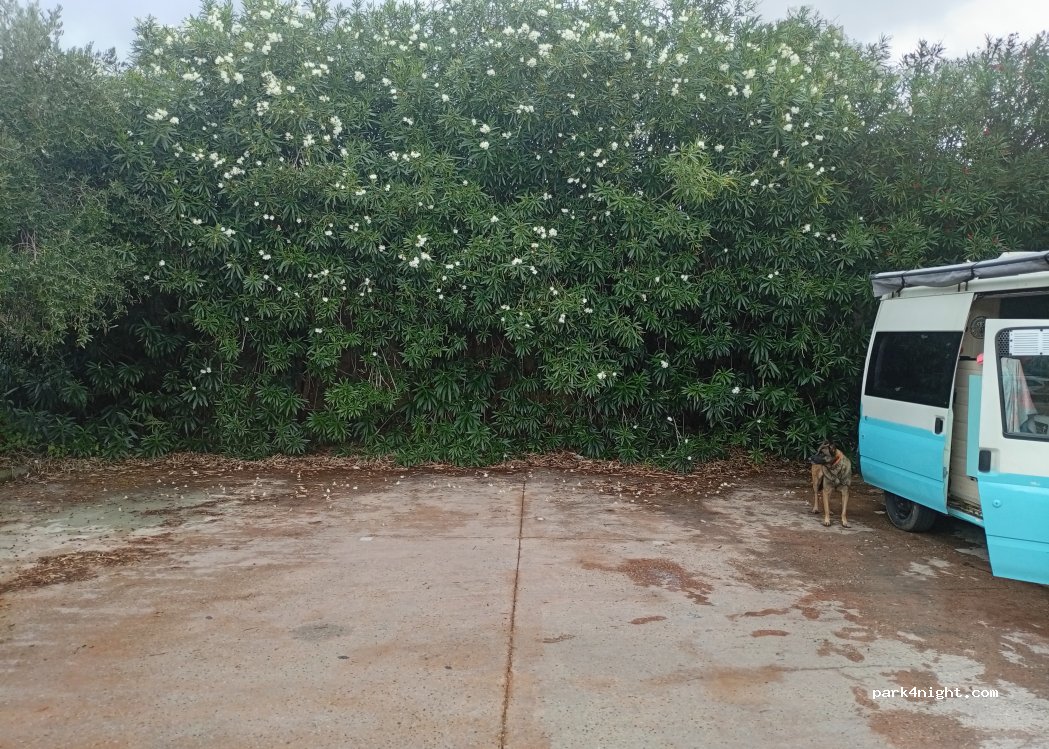 (55054) Corsanico - 4070/B Via delle Sezioni — foto 2