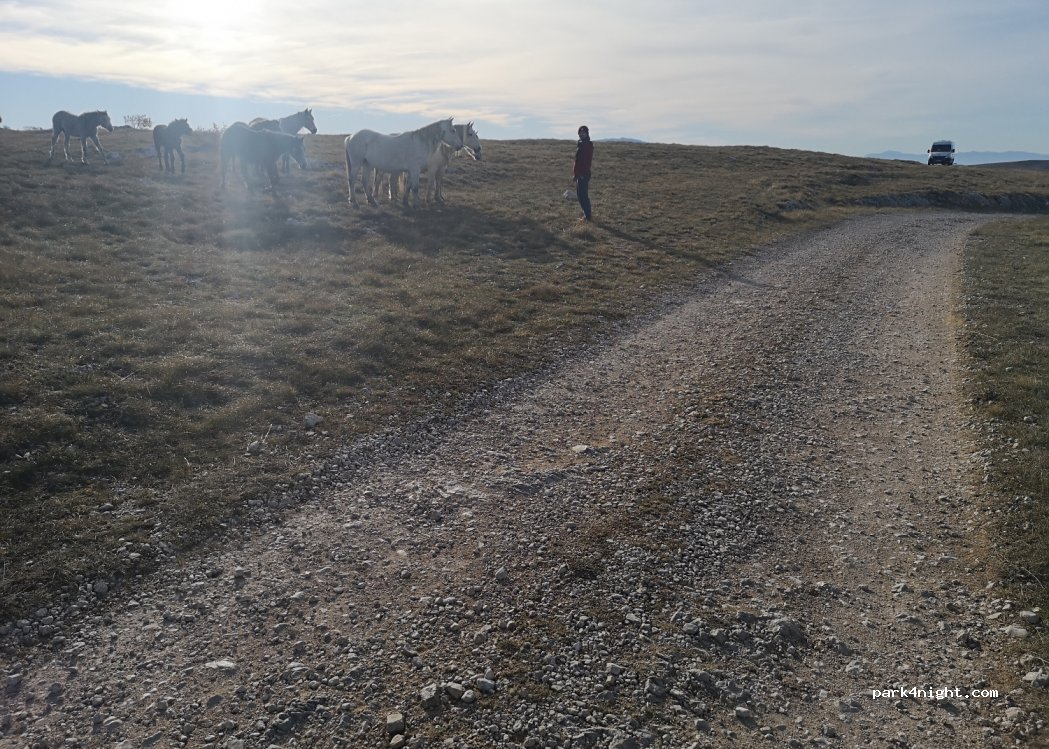 (V2F6+VG4) Dragnjić - Unnamed Road — foto 2