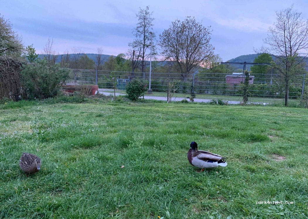 (63920) Großheubach - 7 Kirchstraße — foto 3