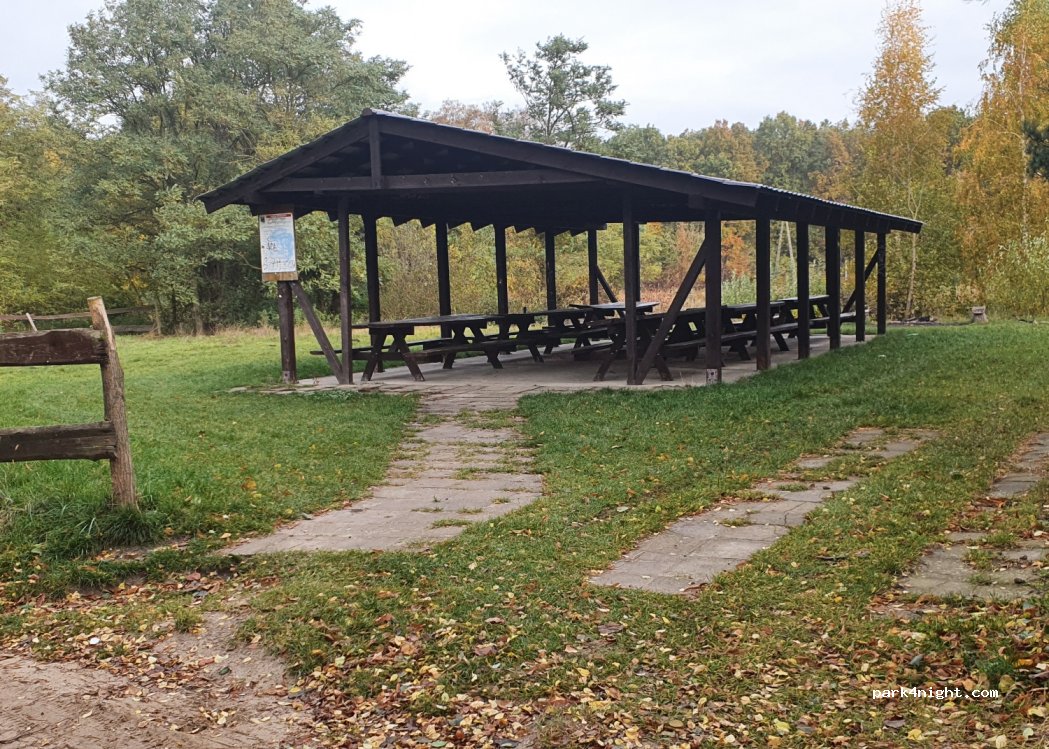 (63-100) Śrem - Liliowa — foto