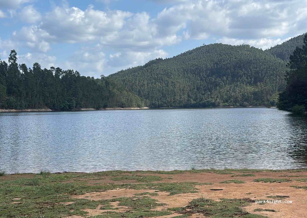 (3260) Figueiró Dos Vinhos - — foto 4
