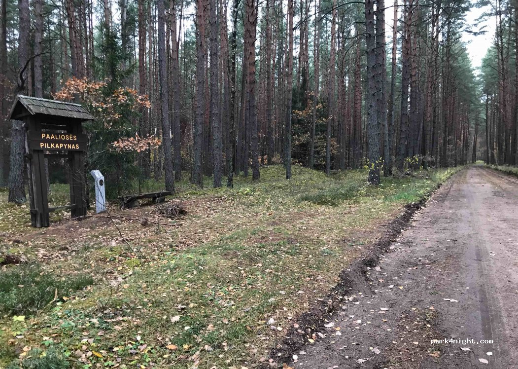 (21354) Ešerinė - — foto