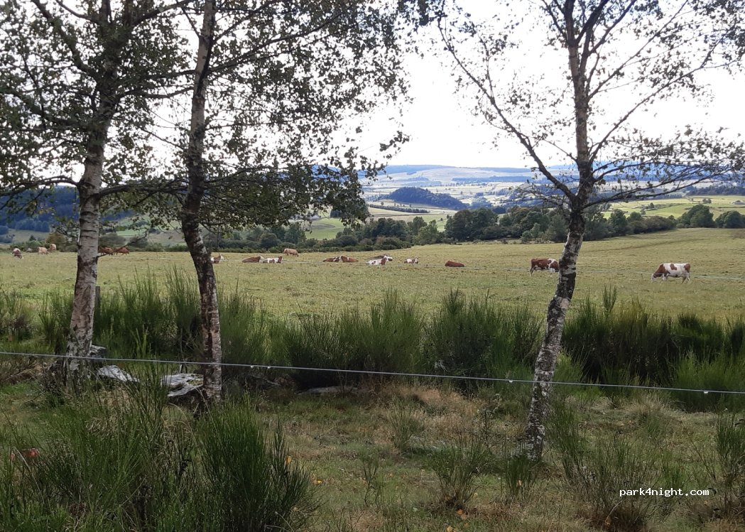 (43200) Araules - Chieze — foto 4