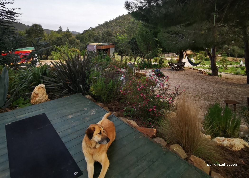 Talurdo Retreat — foto 3