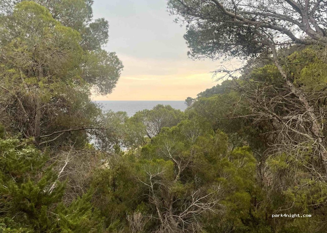 (07849) Santa Eulària des Riu - 3 Carrer des Munt Kilimanjaro — foto 3