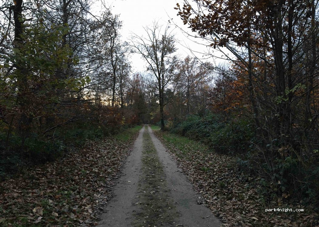 (47665) Sonsbeck - 7 Graf-Haeseler-Weg — foto 3