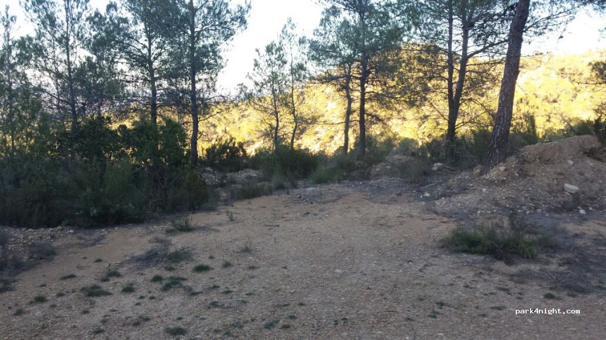 (02215) Villatoya - N-322 — foto
