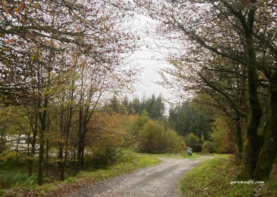 (SA19 7PU) Llandeilo - Unnamed Road — foto