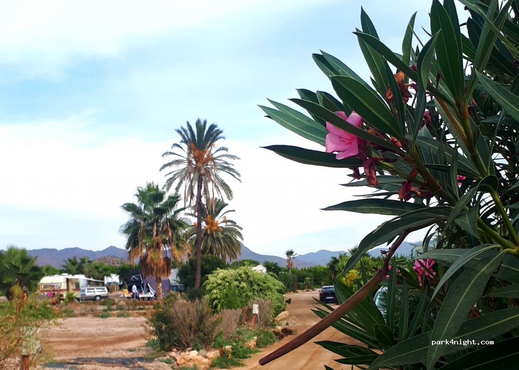 Camping La Quinta Bella (Flordevida) — foto 2