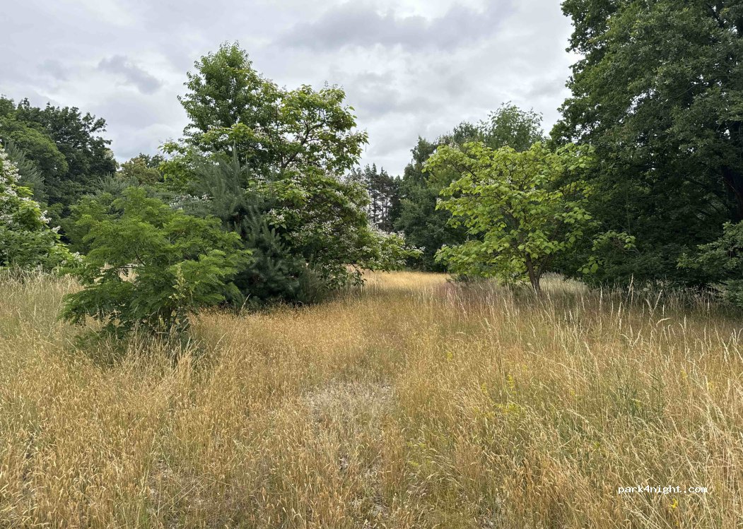 (04936) Schlieben - Langer Berg — foto 4
