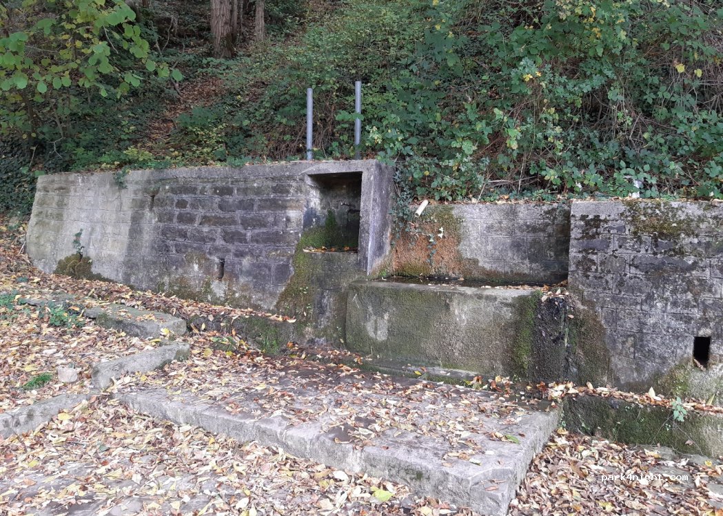(6333) Sečovlje - 77 Padna — foto