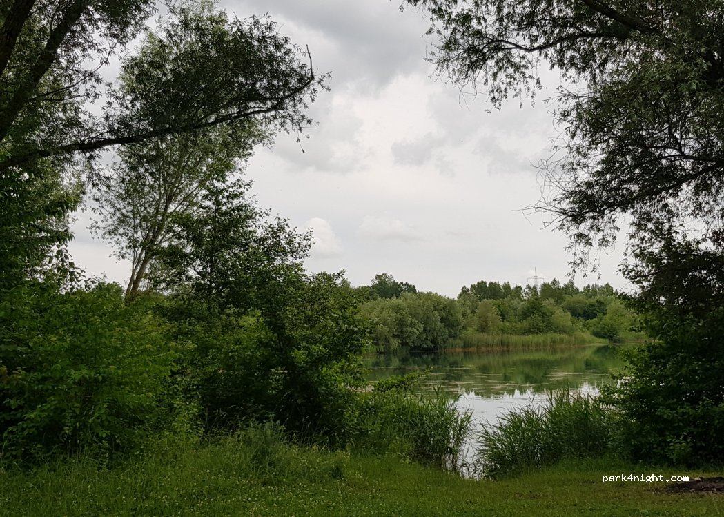 (94365) Parkstetten - Parkstetten Weiher — foto 4