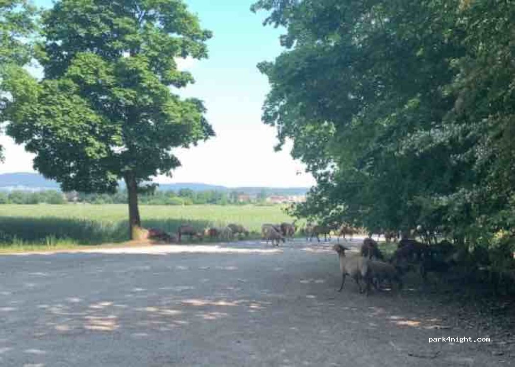 () Baiersdorf - — foto 3