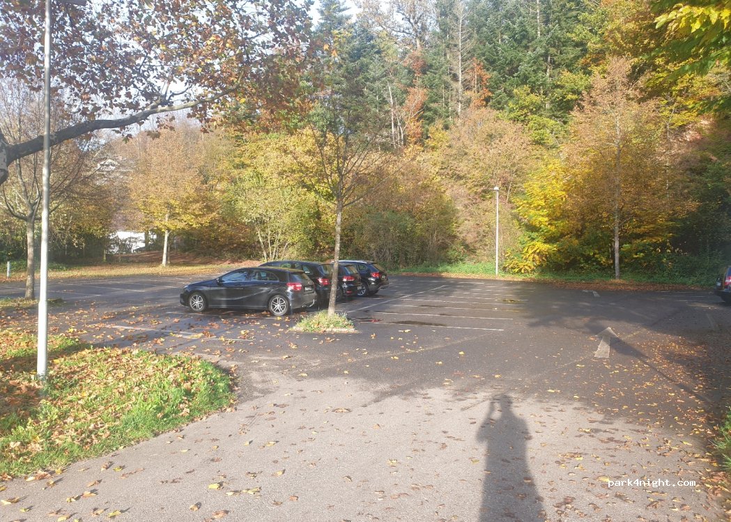 (77960) Seelbach - 33 Am Tretenbach — foto