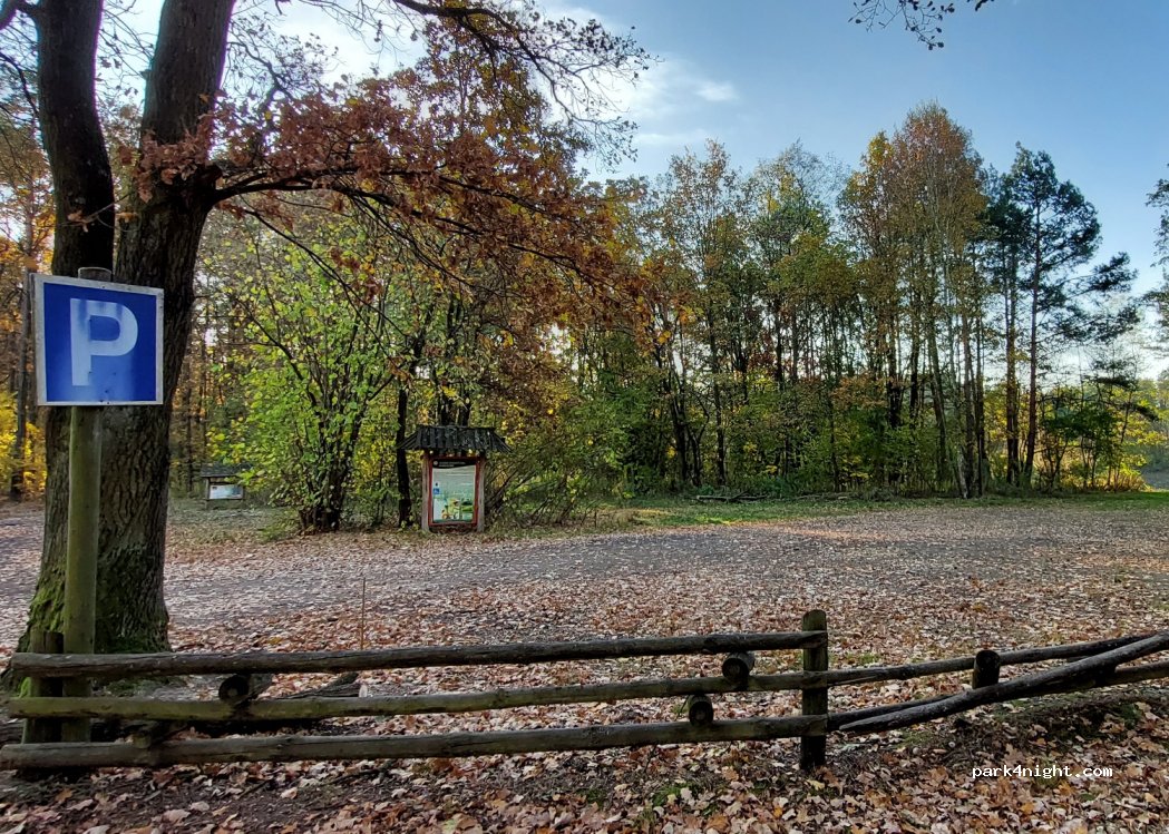 (55-330) Mrozów - Unnamed road — foto 2