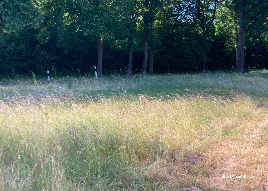 (24539) Neumünster - Altonaer Straße — foto