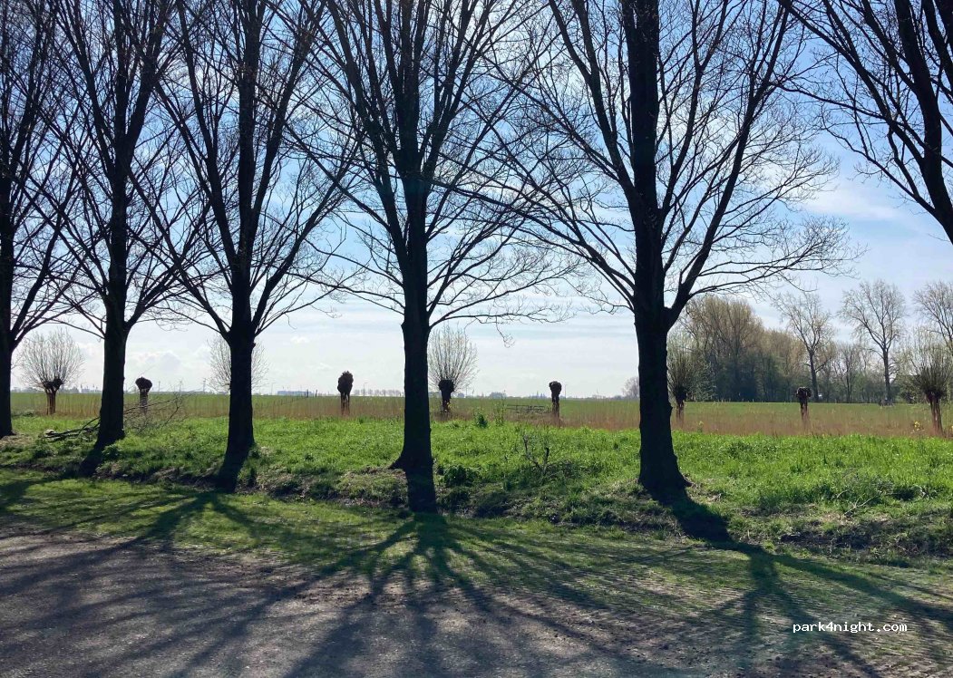 (1992 JV) Velserbroek - 71 J. Bijhouwersstraat — foto 2
