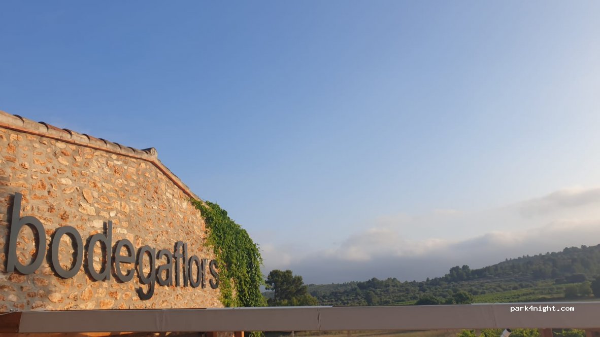 Bodega Flors — foto