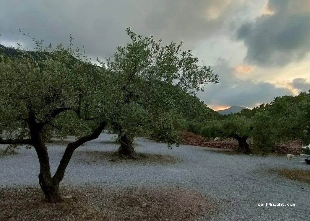 (12527) Artana - Ermita Santa Cristina — foto 4