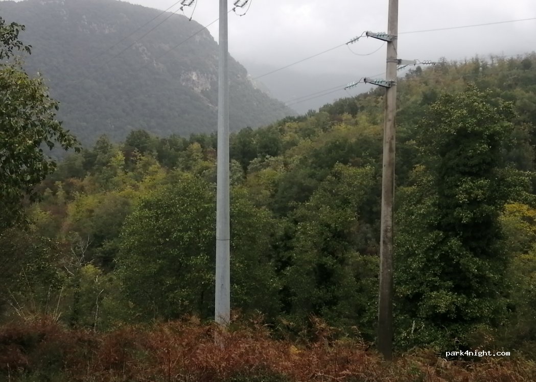 (84030) Tortorella - — foto 2