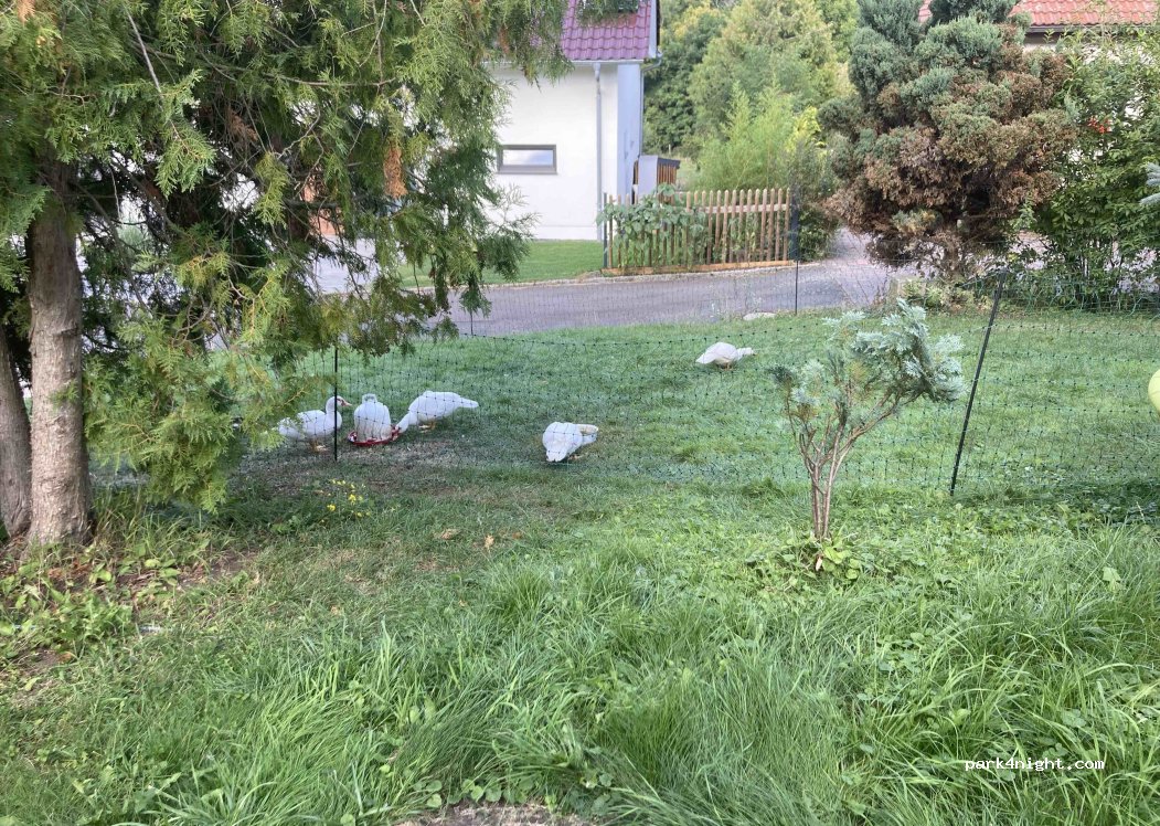 Bauernhof "Natur pur mit Kultur" — foto 4