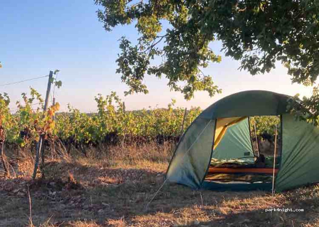 Vignoble Clos de Pougette — foto 3