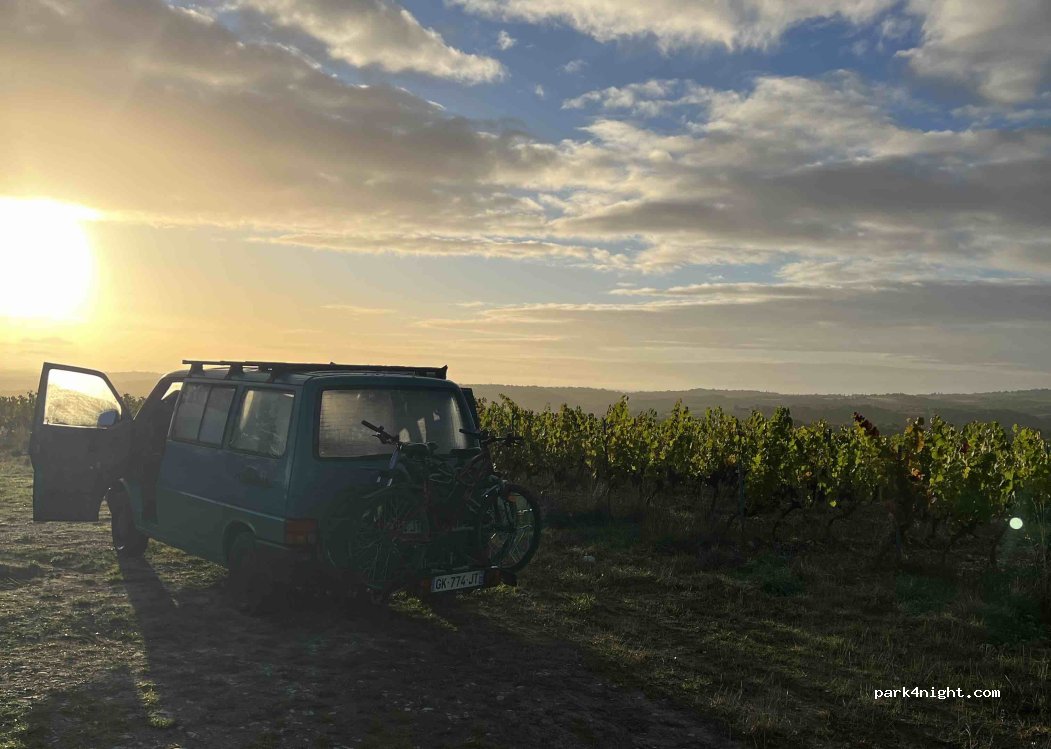 Vignoble Clos de Pougette — foto 5