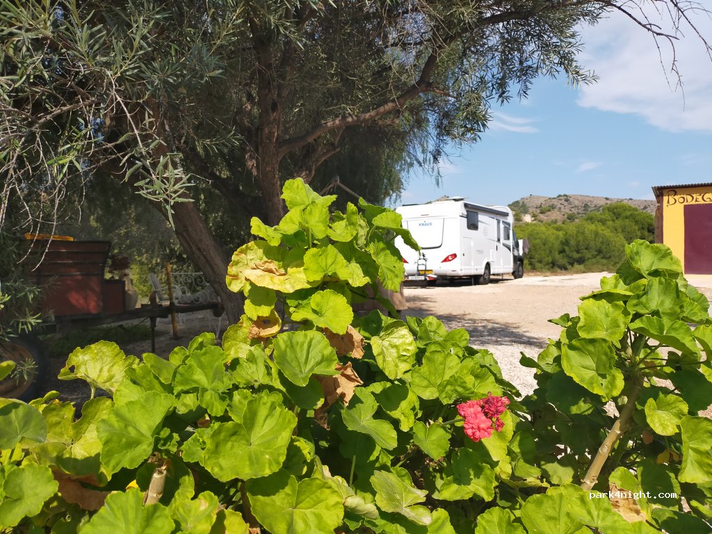 Área Camper Granja La Carmela — foto 3