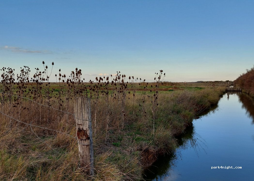 (17780) Moëze - Unnamed Road — foto