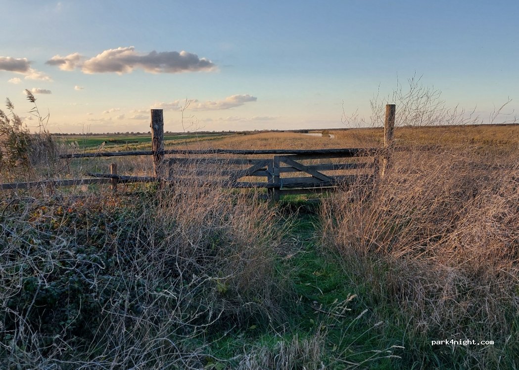 (17780) Moëze - Unnamed Road — foto 2