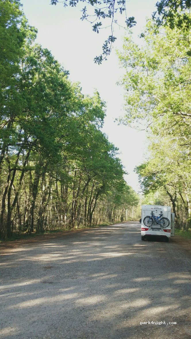 (31820) Pibrac - Route de Lévignac — foto 3