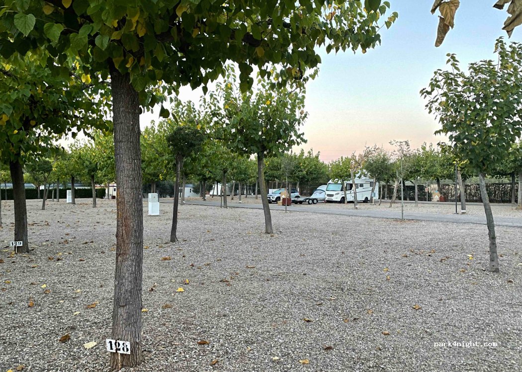 Camping Carlos III — foto 3