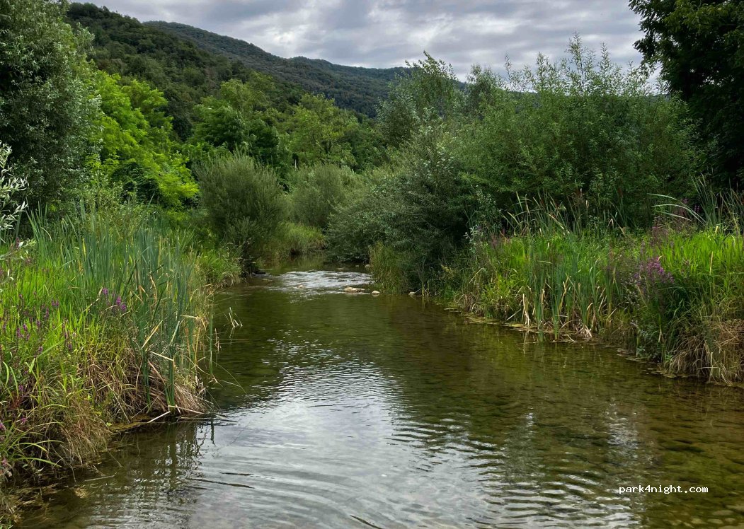 (33040) Attimis - 5 Via Julia Divisione — foto 4
