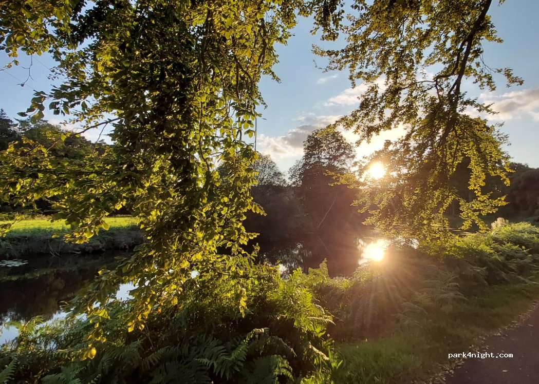 (56800) Guillac - Les Grées — foto 4