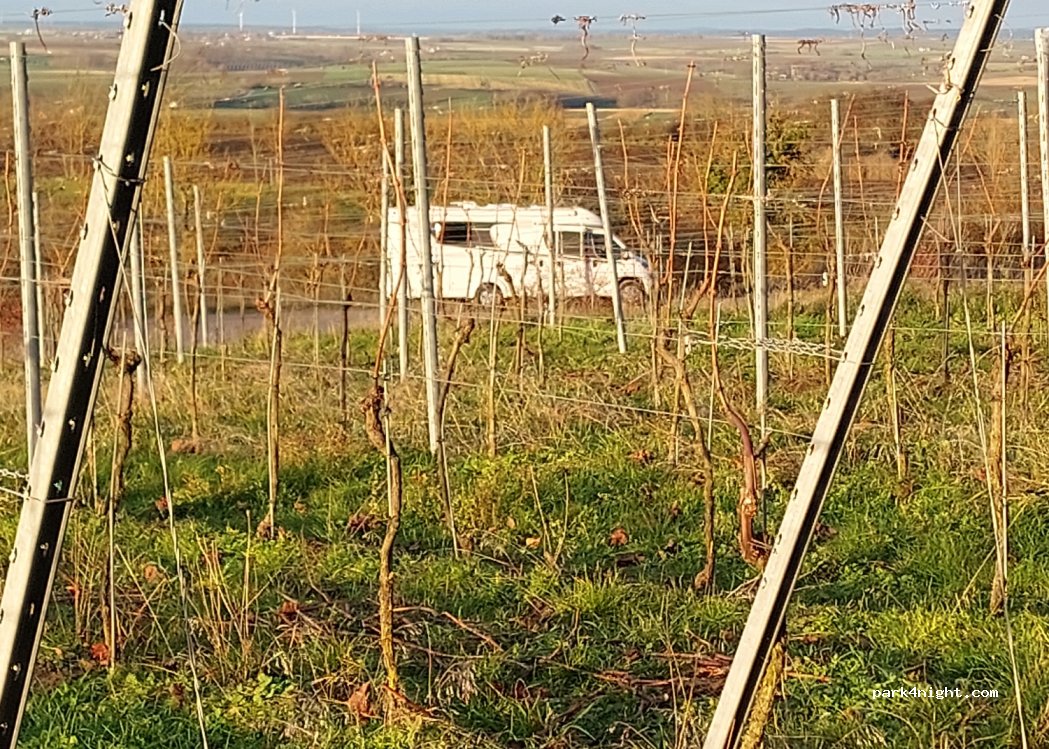 (97215) Weigenheim - — foto 3