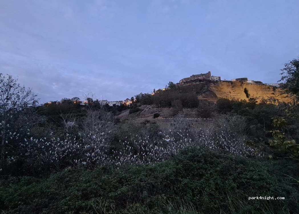 (11630) Arcos de la Frontera - Unnamed Road — foto