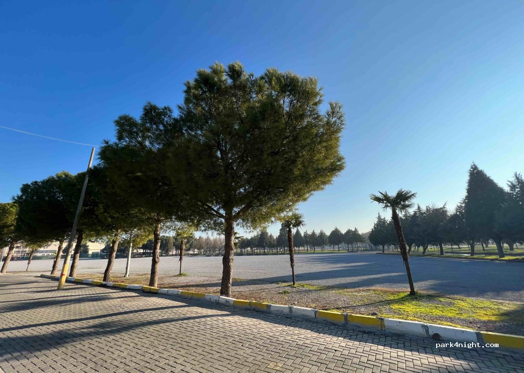 (45215) Akhisar/Manisa - 75 538. Sokak — foto 2