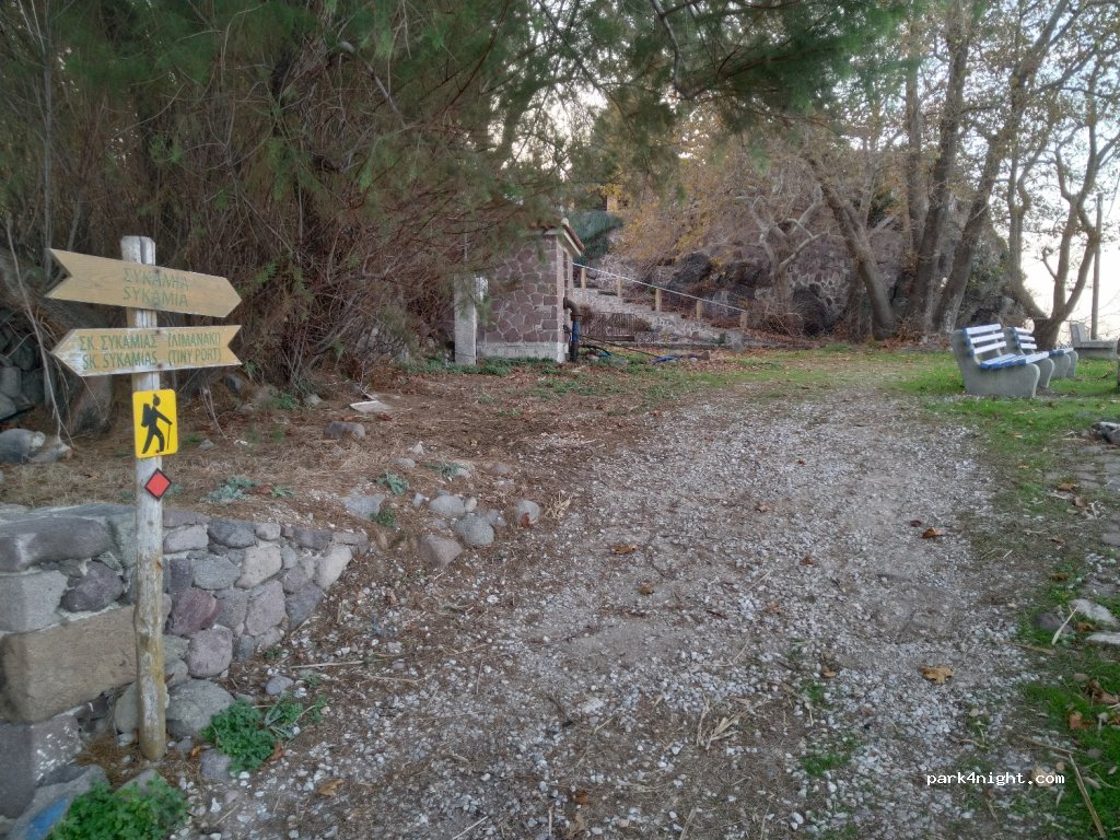 (811 04) Skala Sikamineas - — foto 2