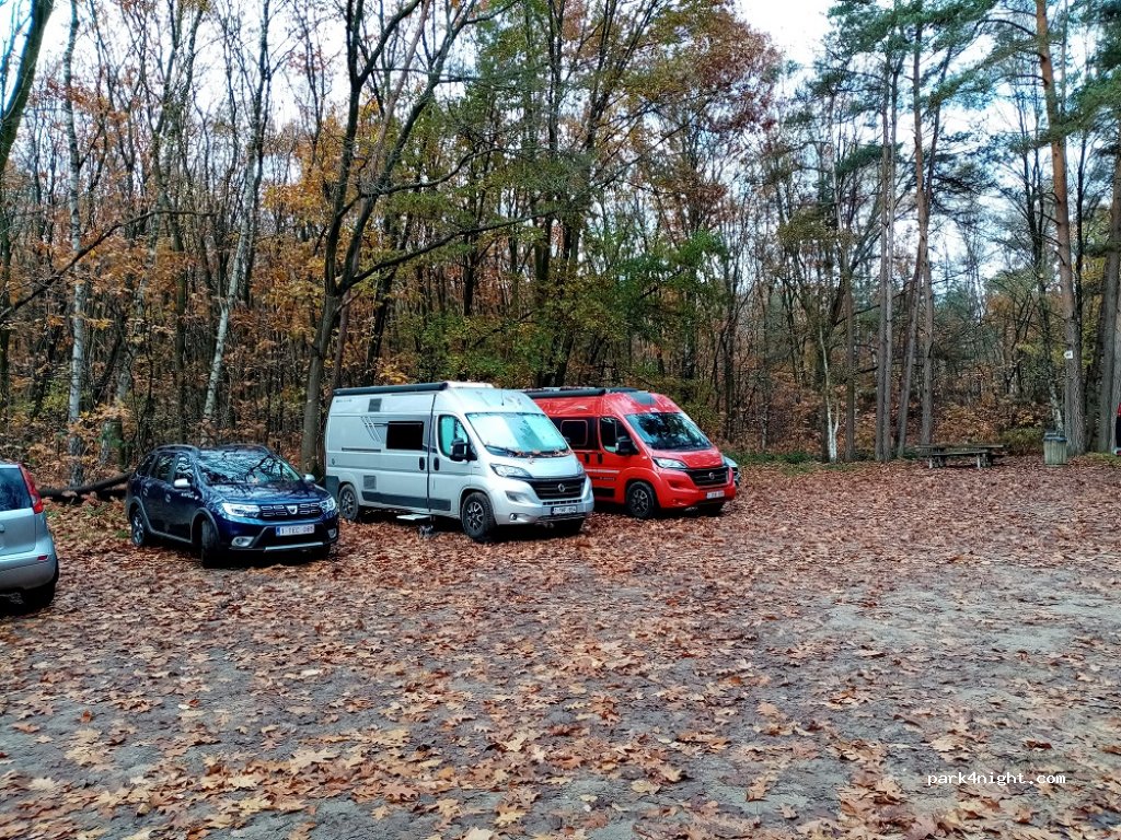 (3650) Dilsen-Stokkem - 58 Sparrendal — foto
