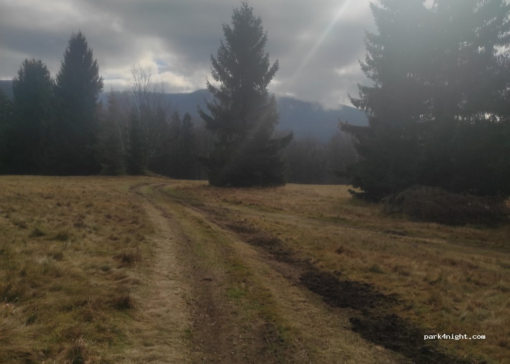 (57-514) Międzygórze - Unnamed Road — foto 3