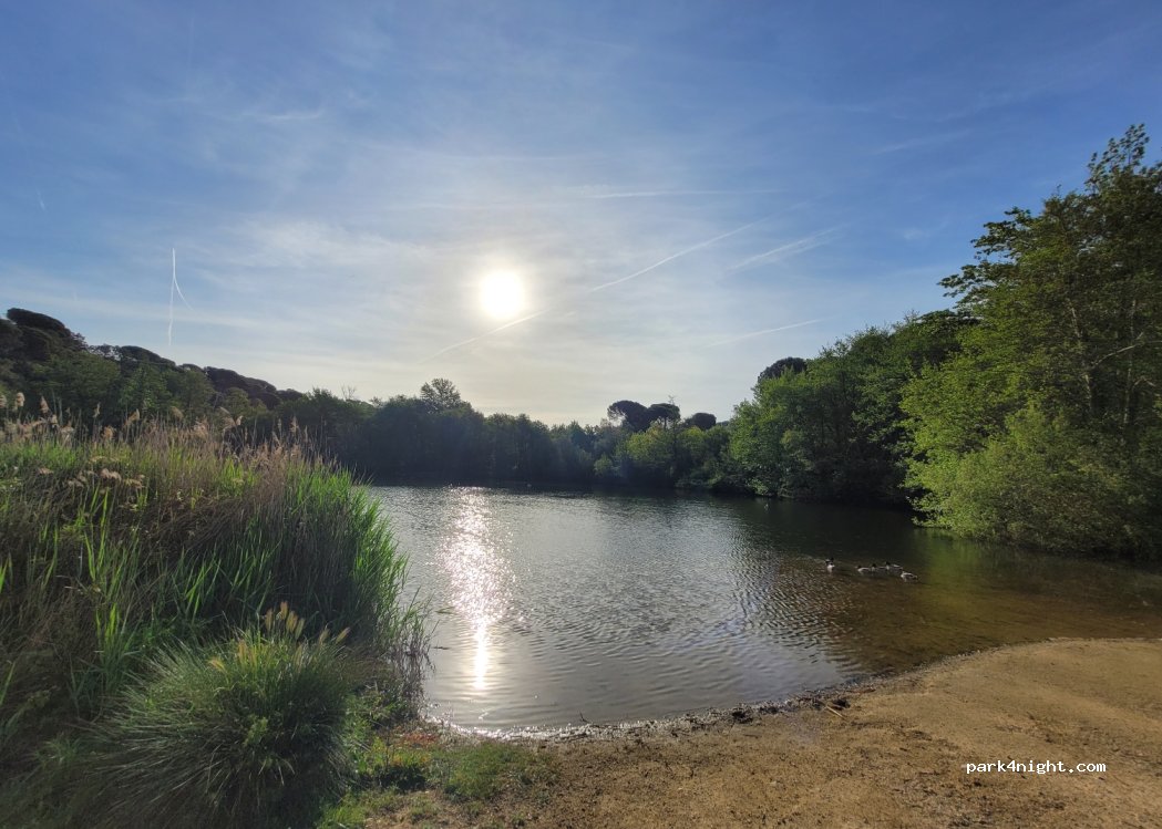(17411) Lloret de Mar - 10 Avinguda Mil·lenni — foto 4