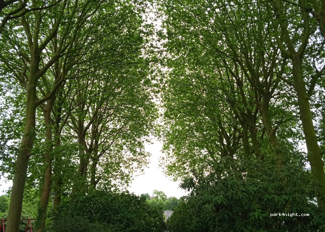 (7640) Antoing - 14 Rue de la Kennelée — foto 4