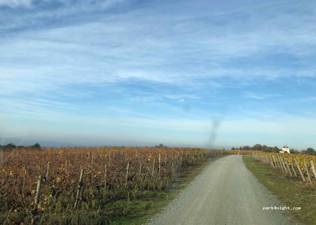 () Val-du-Layon - — foto