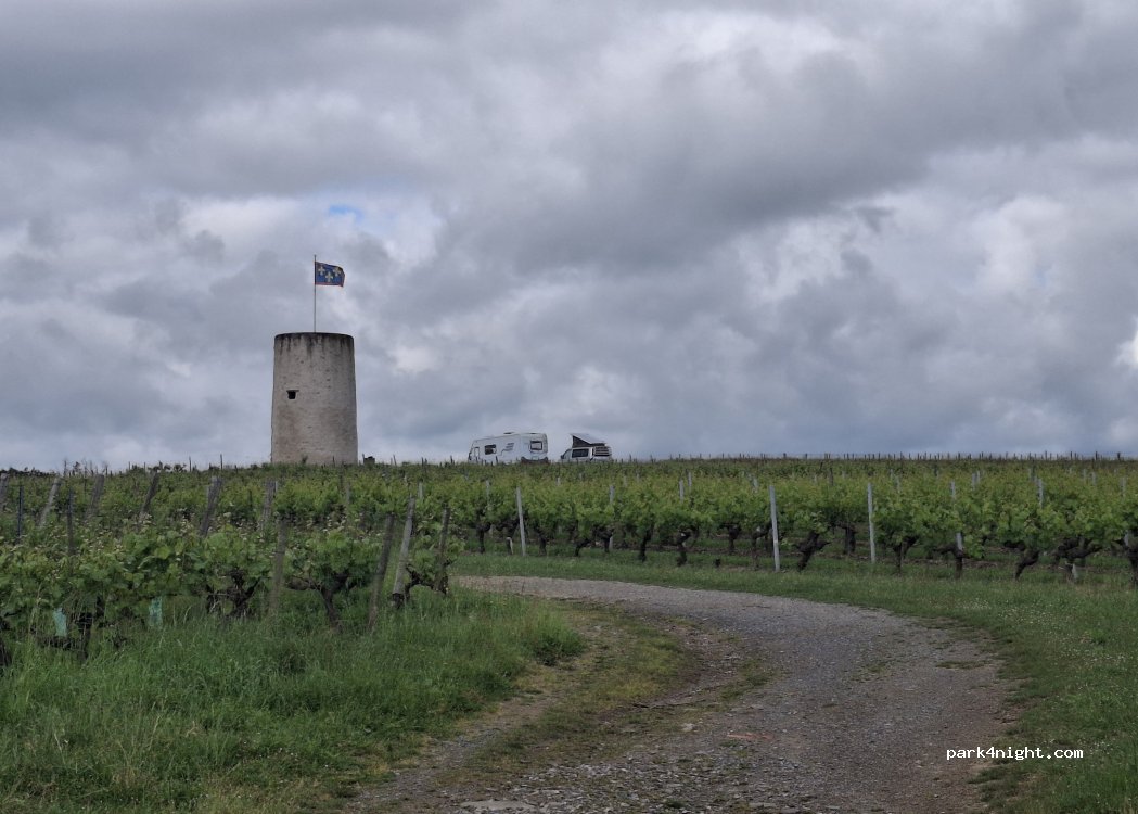 () Val-du-Layon - — foto 5